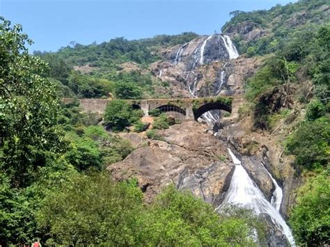 THE 5 CLOSEST Hotels to Dudhsagar Falls, Mollem National .